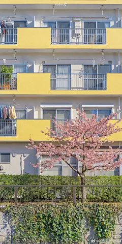                                                                                                                         #壁纸##手机壁纸# 那时我便为你写首春天的诗当一切都已经重新开始...展开全文c                                            