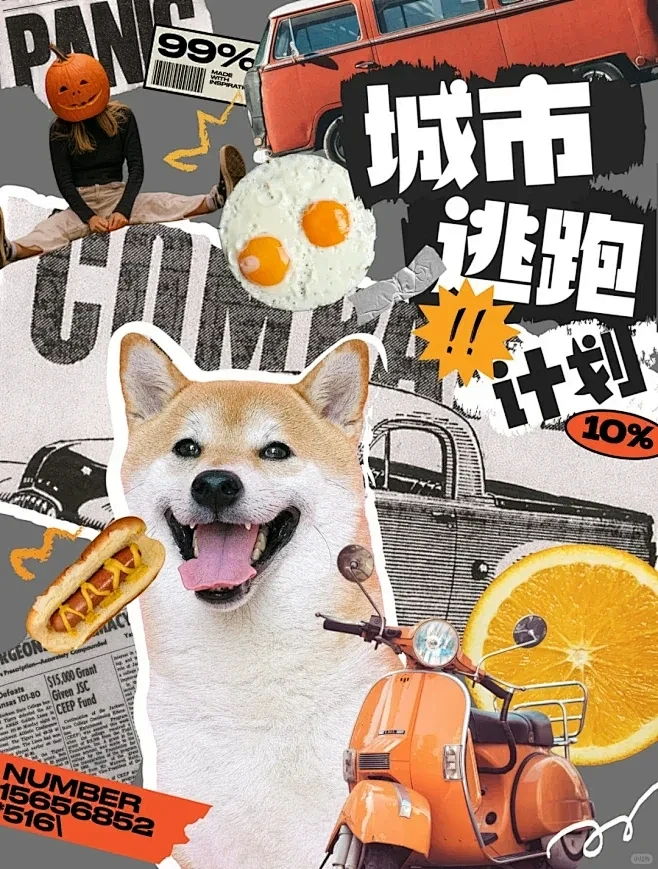 设计灵感｜拼贴手帐海报版式分享 - 小红书-花瓣网
