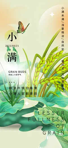创意二十四节气小满海报