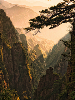 盲心愚°采集到迷途风景