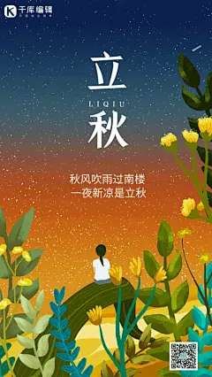 立秋节气秋天秋季夜晚流星唯美动态风景海报