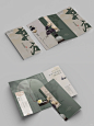 折页设计|国风新中式花艺三折页宣传册