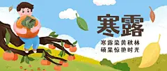 寒露节气柿子习俗手绘公众号首图