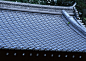 rishijianzu-052