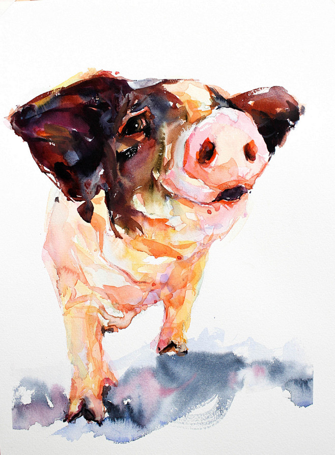 溪茈从胡来网转采于2016-08-06 09:26:56十二生肖-猪水彩溪茈同采自