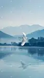 白露系列实景白露通用背景素材