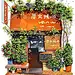 Storefront Illustrations by Angela Hao