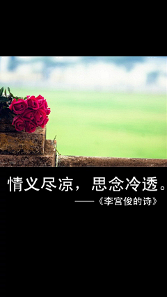 62赫兹的鲸采集到文字控