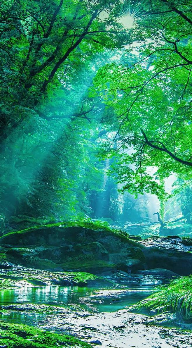 《公式》炭酸水がつくれるウォーターサーバ...