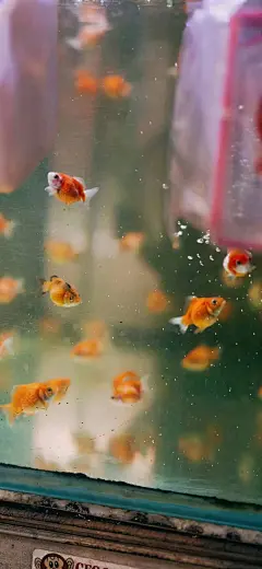 @一百个大不刘