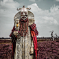 Mothmeister, Wounderland.
Bad Taxidermie (一) ​​​