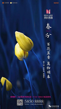 CSVyt采集到t
