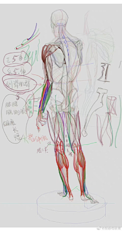 JacenChen采集到造型逻辑