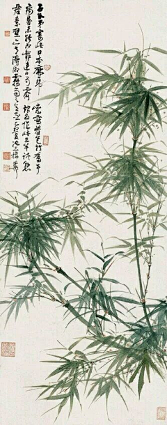雪小石采集到国画---竹、梅花