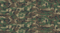 Файл:Brown-dominant "highland" ERDL camouflage pattern swatch.svg