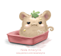 Mini Hamster, Nala Amaryllis : My hamster.