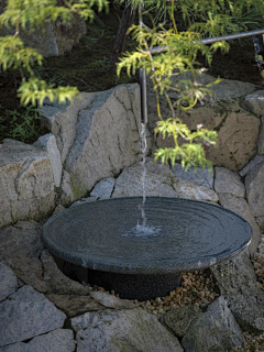 风信子花园Sunny采集到花园流水钵