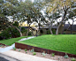 Design ideas for a mid-sized modern drought-tolerant front yard concrete paver garden path in Austin.