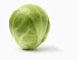 Brussel sprout on white background_创意图片