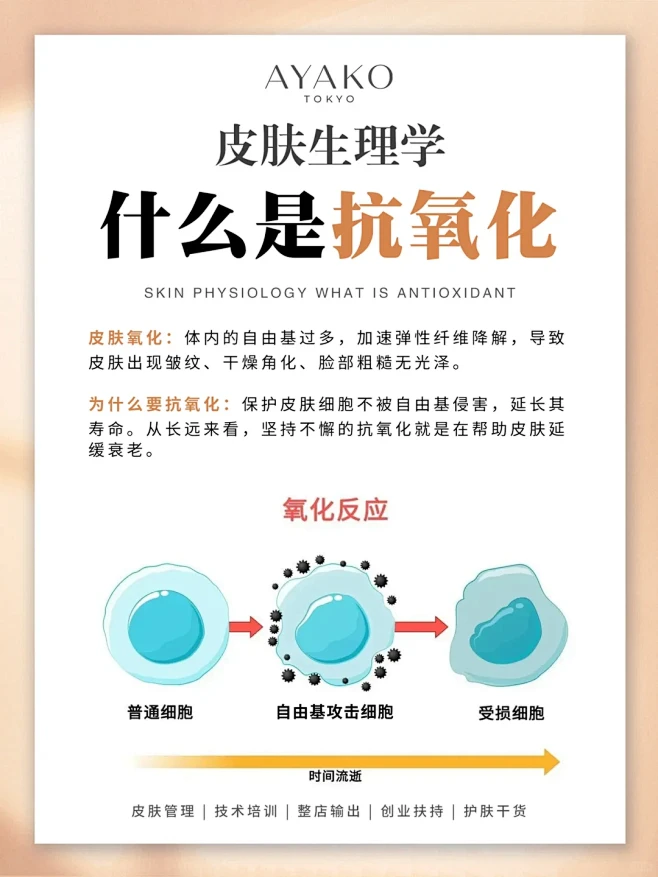 皮肤管理培训|什么是抗氧化？看这一篇就够