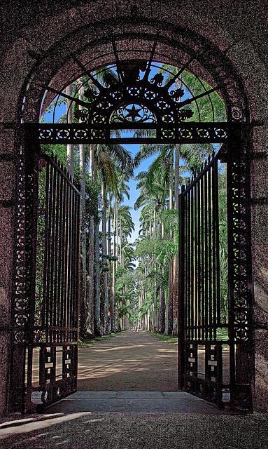 Secret Garden
照片由 Ri...