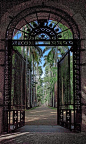 Secret Garden
照片由 Ricardo Bevilaqua 在 flickr 上创建
｜Botanical Garden, Rio de Janeiro, Brazil