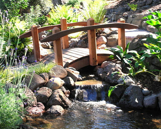 Backyard Spaces : Ba...