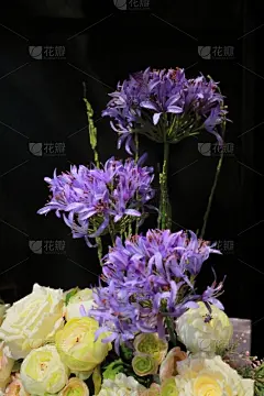 玫瑰,紫色,黄色,花束,垂直画幅,美,贺卡,美人,夏天,花蕾