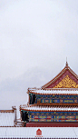 彤阶飞雪，青枝寒酥。
12月11日，北京迎来今冬初雪。

白雪镶红墙，碎碎坠琼芳。
在雪中，故宫安静得不动声色。
琉璃金顶玉尘层叠，
朱墙廊壁银星闪灼。
极目远望，丹宸碧瓦与雪相接，
与天一色。

