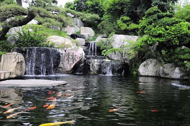 假山水池