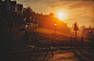 Walk on the Wildside: Edinburgh : For this series of new work, the brief was to feature wild animals freely roaming around the Scottish capital, animals one would not normally see in Scotland, a project that I can see being rolled out to other cities as t