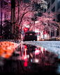 city night photography Nightlife Photography  sony alpha sonyalpha Street street photography tokyo Urban