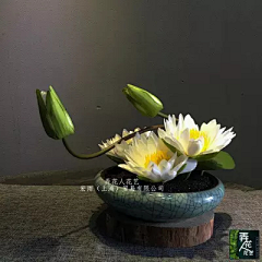 A┱麦ㄞ兜╃采集到花艺
