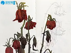 火影同人画师青条子——与你分享漫画连载心得-