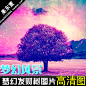 发财树梦幻素材摄影图库高清云彩天空背景场景平面绘画设计参考-淘宝网