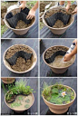 How to make a miniature pond in a pot!