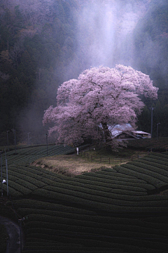 『沉眠』采集到景