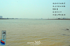 NN720采集到房地产