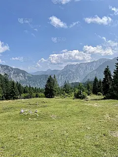 高山牧场面积