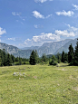 高山牧场面积