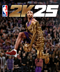 NBA 2K - Hall of Fame :: Behance