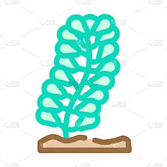 小扁豆海藻颜色图标矢量插图