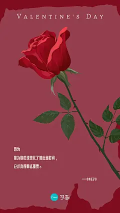 红白色写实玫瑰纸西式小王子复古情人节中文手机壁纸