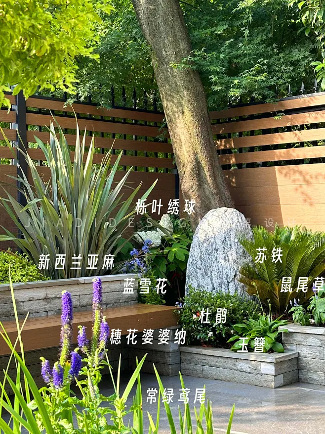 现代自然风格庭院植物搭配分享⭐。丰富又特别的自然风植物配置 主干植物选用新西兰亚麻、苏铁与栀子花 新西兰亚麻和苏铁很好的衔接了高大的朴树 蓝 ...