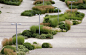 Jakob + MacFarlane, Gilles Clément and Coloco. The Staircase-Garden, Bruxelles, Belgium, 2007-2008