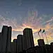 采集图片