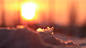 雪,冰,式样,肥皂泡视频素材_ID:13115993