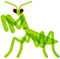 mantis.jpg (612 KB,1118*1106)