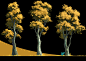 yu-yiming-tree-2