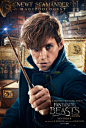 Fantastic Beasts and Where to Find Them 